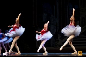 Paquita 2011